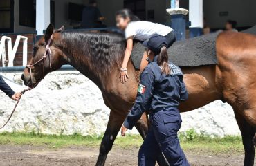 0f1ed97e-4d13-434b-a095-23f2fccabbf2