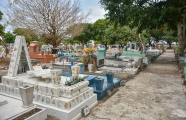 c04d85a8-8507-4921-97ff-f193c5277b7a