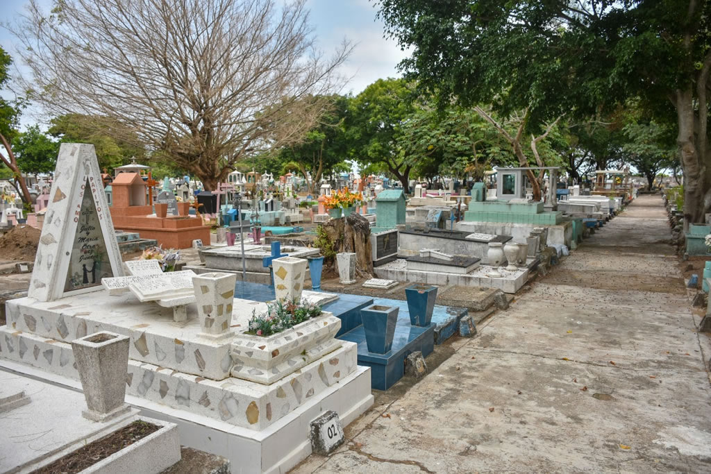 c04d85a8-8507-4921-97ff-f193c5277b7a