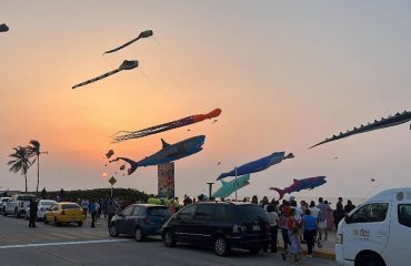 891a6389-1353-46b4-957c-8c285859f76c