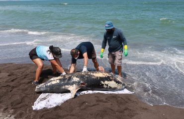 97eca5e7-12c8-4d87-ad0b-1712d19e079b